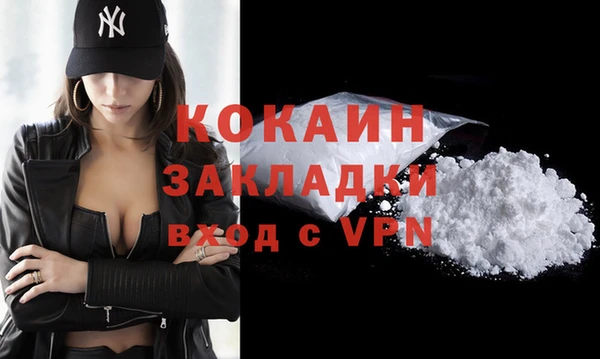 тгк Дмитровск