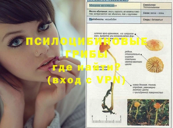 тгк Дмитровск