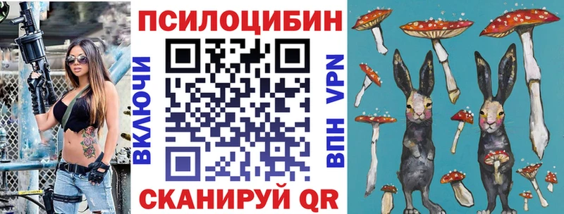 Галлюциногенные грибы прущие грибы  закладка  Щёлково 
