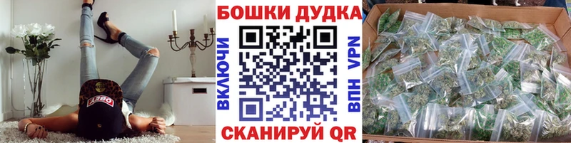 Бошки марихуана Bruce Banner  Щёлково 